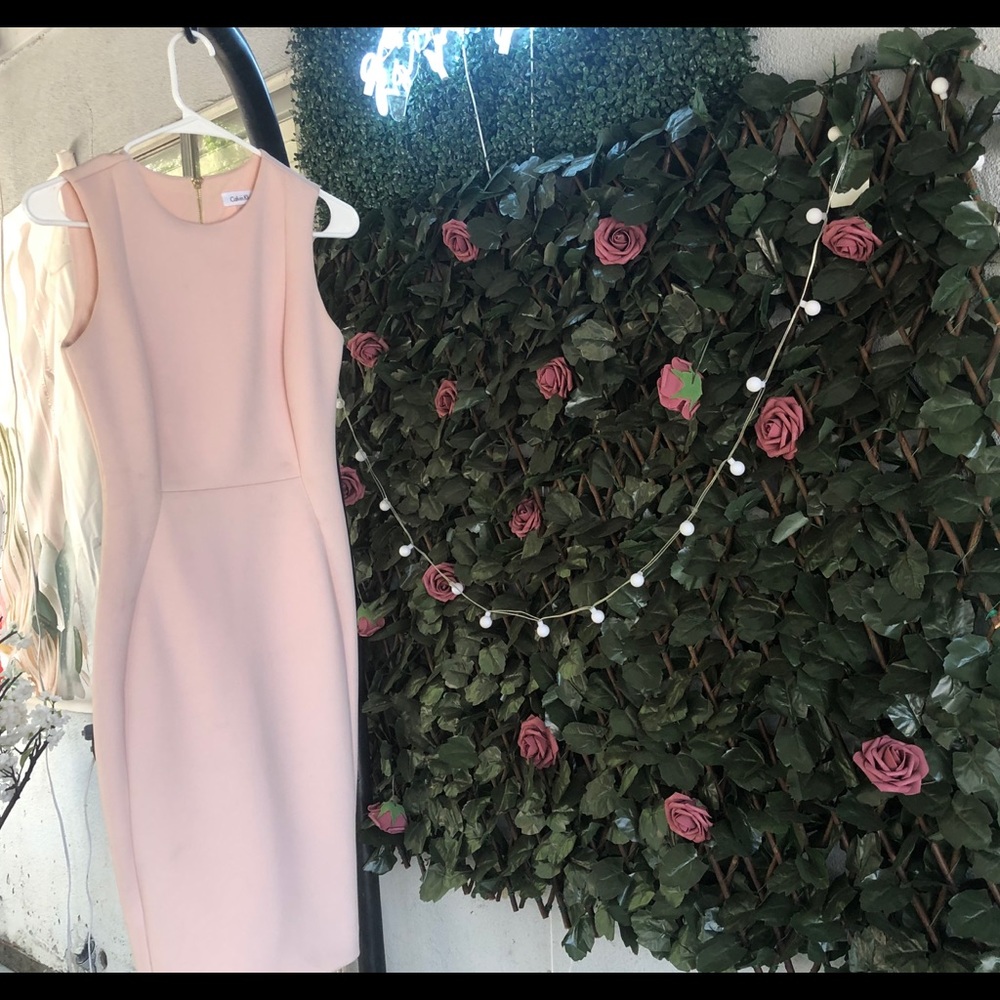 Calvin Klein blush pink business dress size 2.